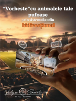 Hranitor automat inteligent cu wireless, cameră video HD și alimentare duală - imagine 6