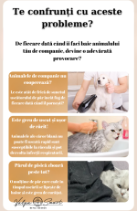 Uscător Inteligent pentru Pisici și Câini Mici, Silențios, cu Ventilație și Ioni Negativi – ValpaSmart - imagine 10